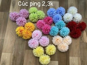 Cúc ping - 50 bông
