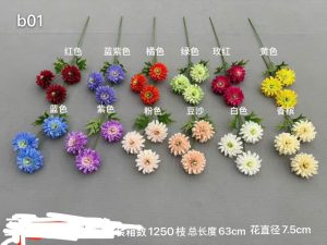 cúc dược 3b