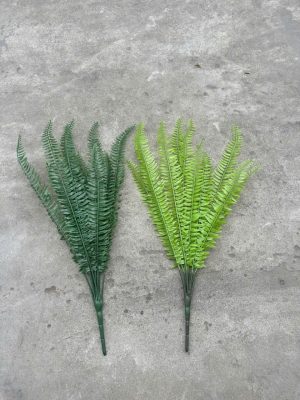 Cụm dương sỉ mượt