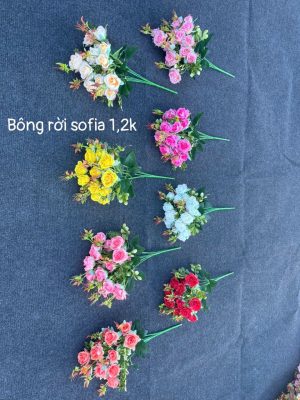Bông rời sofia - 100 bông