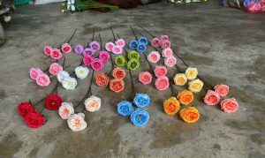 Cành hồng david 3b