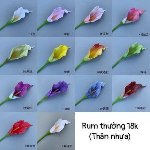 Rum thường