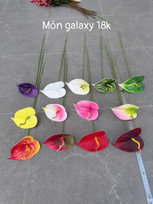 Môn galaxy