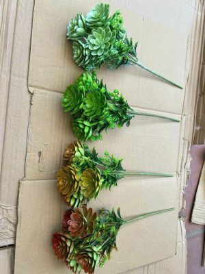 Sen đá nhập