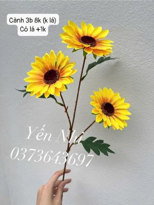 Hướng dương việt