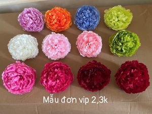 Mẫu đơn VIP ( hàng việt ) - 50 bông