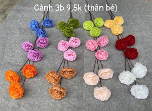 Mẫu đơn vip hàng việt - cành 3b