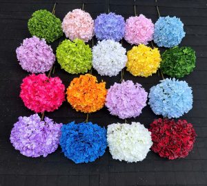 Tú cầu cánh bướm size 24cm