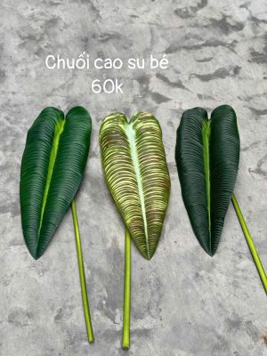 Chuối cao su bé