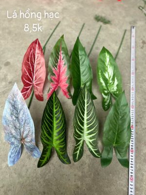 Lá hồng hạc