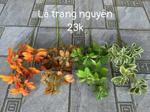 lá trạng nguyên
