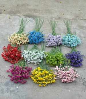 Bi su